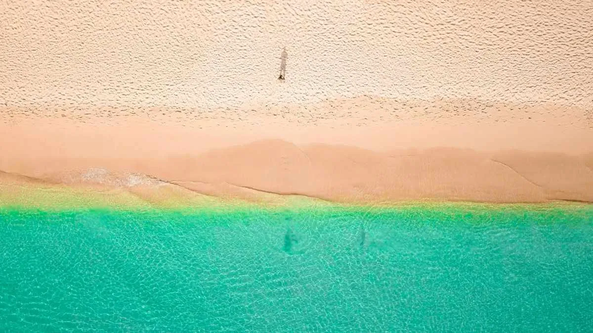 Optimale Reisezeit für Barbados