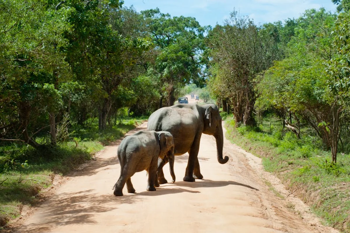 Natur und Wildlife