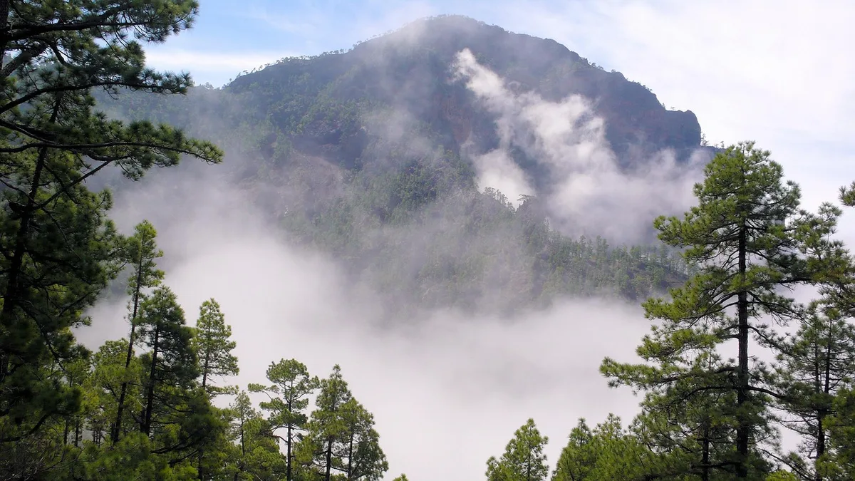 Beste Reisezeit La Palma - Klimadiagramm und Wetterdaten