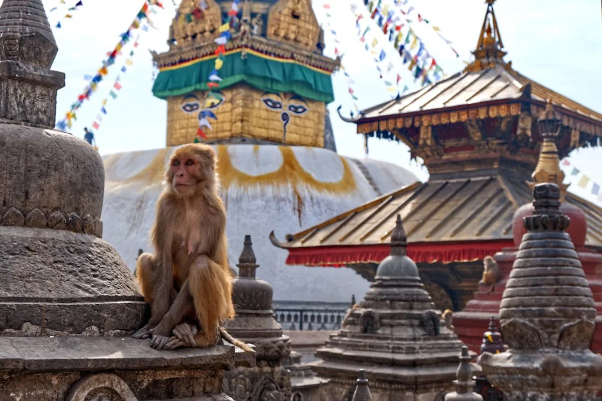 Landschaft von Nepal wÀhrend der optimalen Reisezeit
