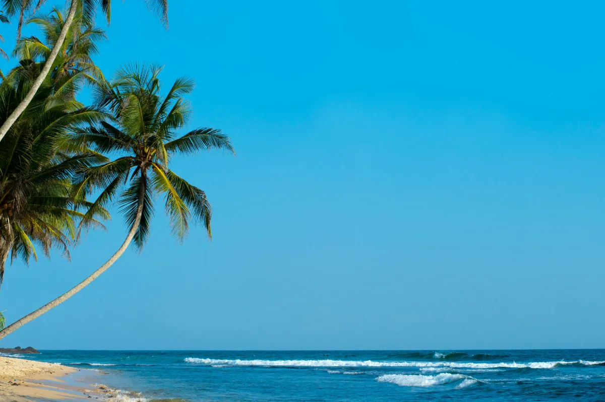 Optimale Reisezeit für Sri Lanka