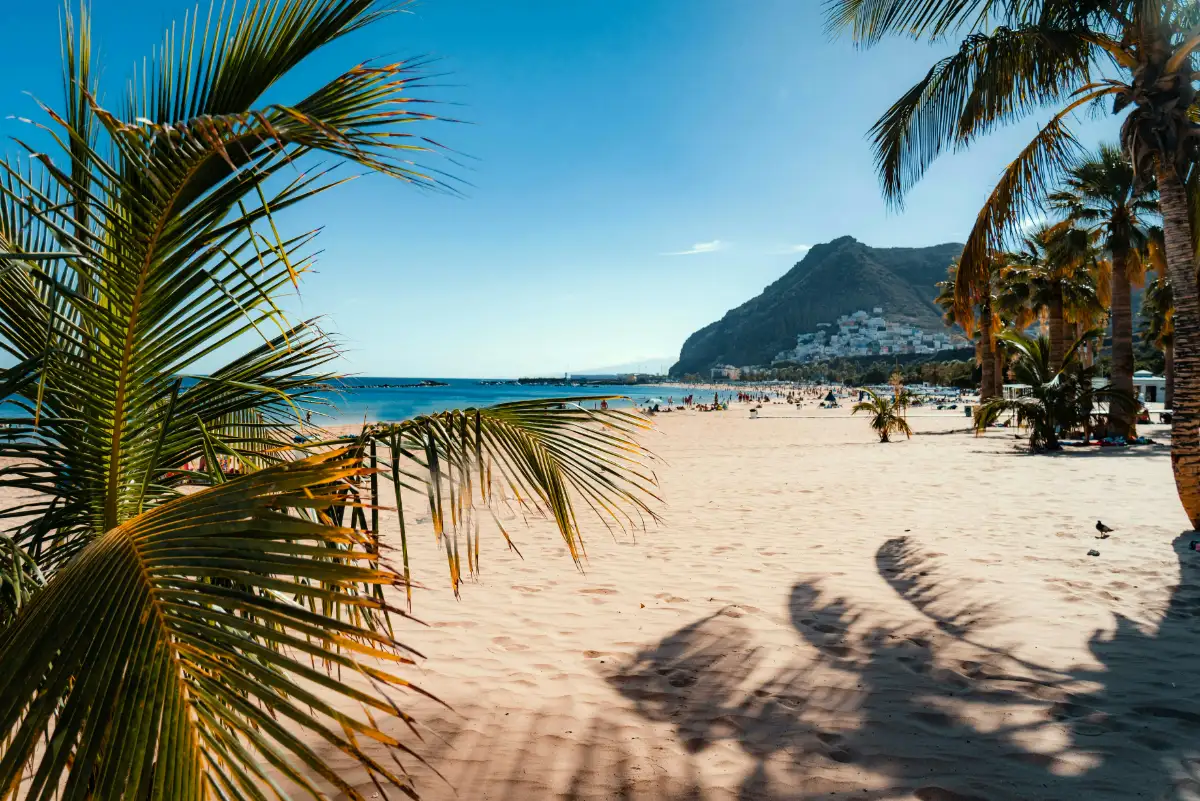 Landschaft von Teneriffa während der optimalen Reisezeit